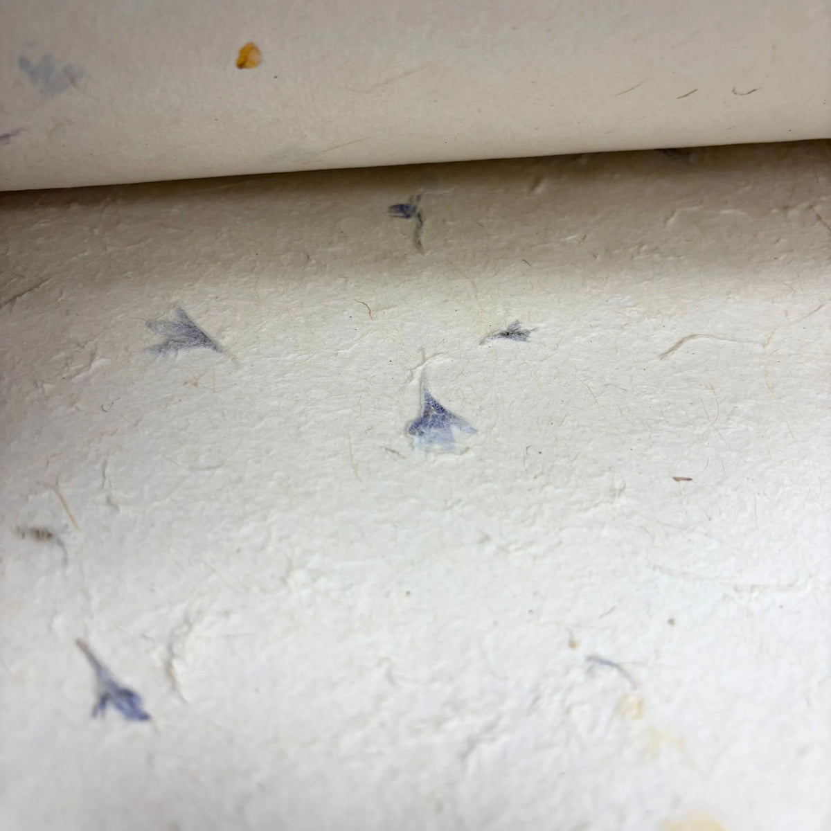 Lokta Craft & Wrapping Paper 51x76cm Cornflower Petal