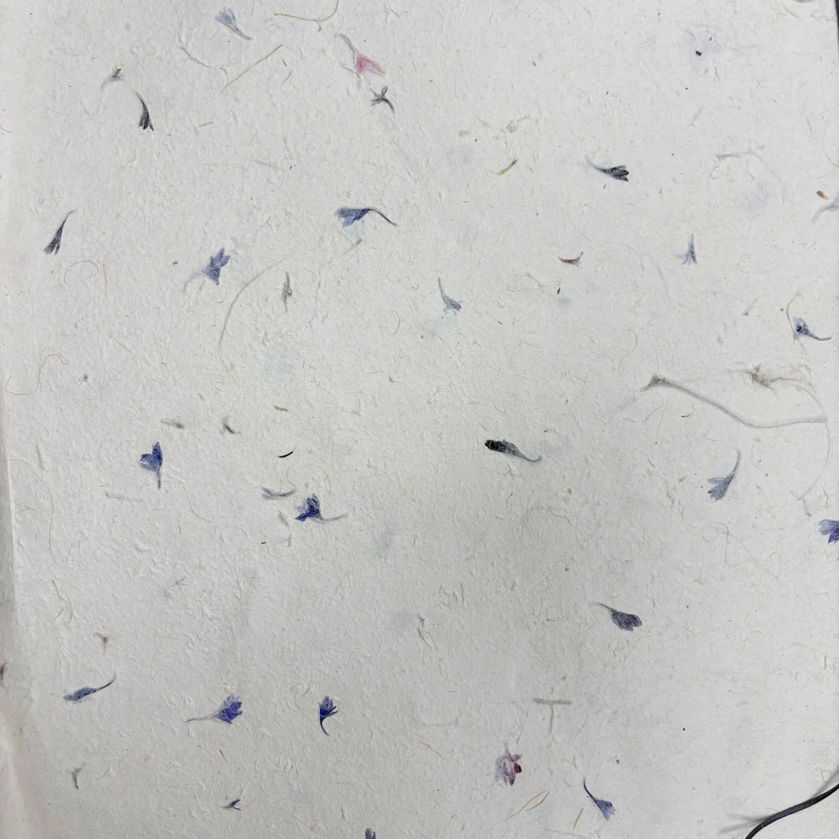 Lokta Craft & Wrapping Paper 51x76cm Cornflower Petal