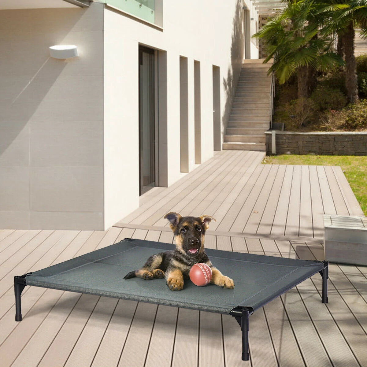 Elevated Pet Cot with Detachable Canopy Shade & Sturdy Steel Frame-XL