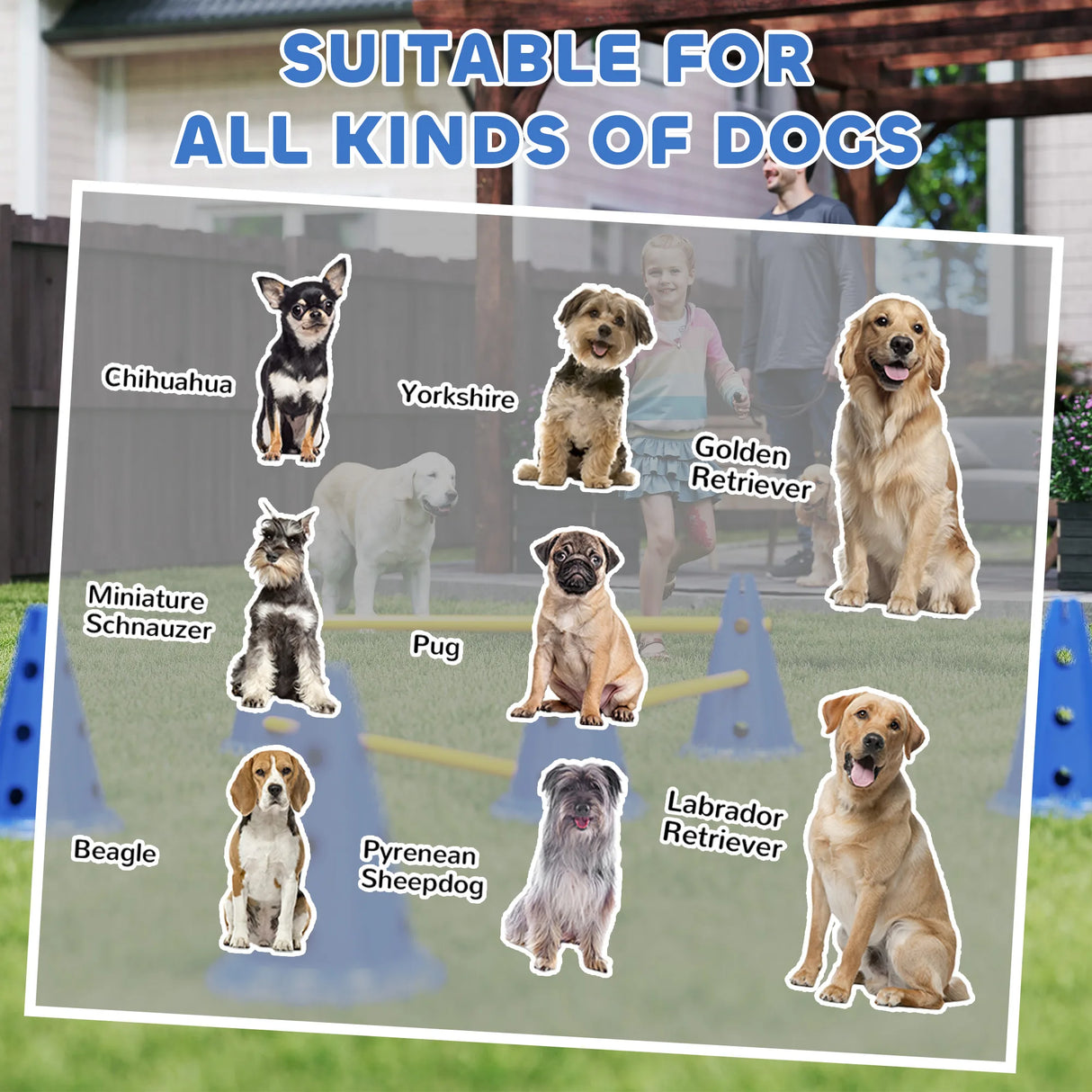 PawHut Dog Agility Equipment Set of Six Cones, Six Poles with Carry Bag, Three-Piece Adjustable Height Jumping Obstacles, Blue