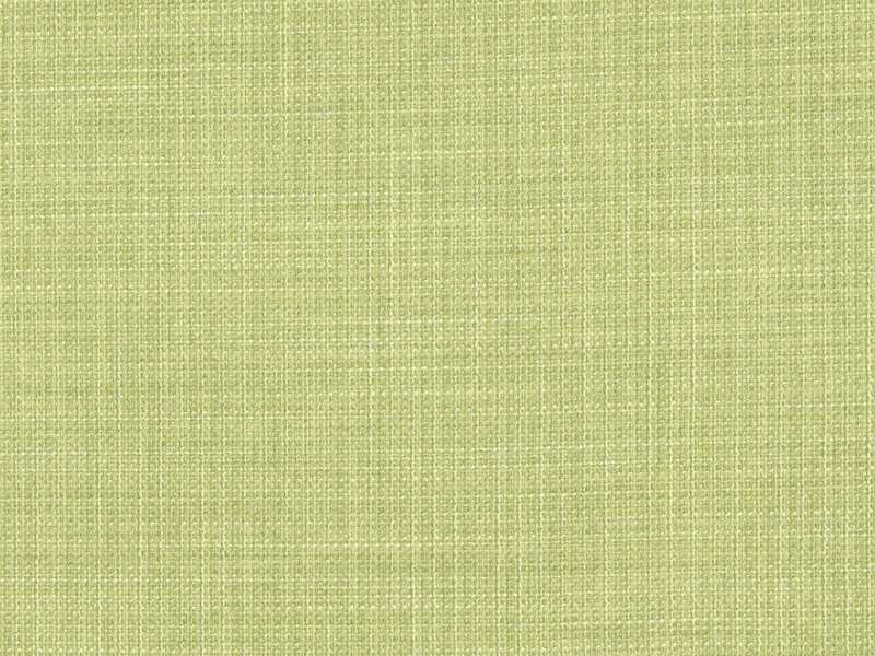 Emporio - EMP539 (Per Metre)