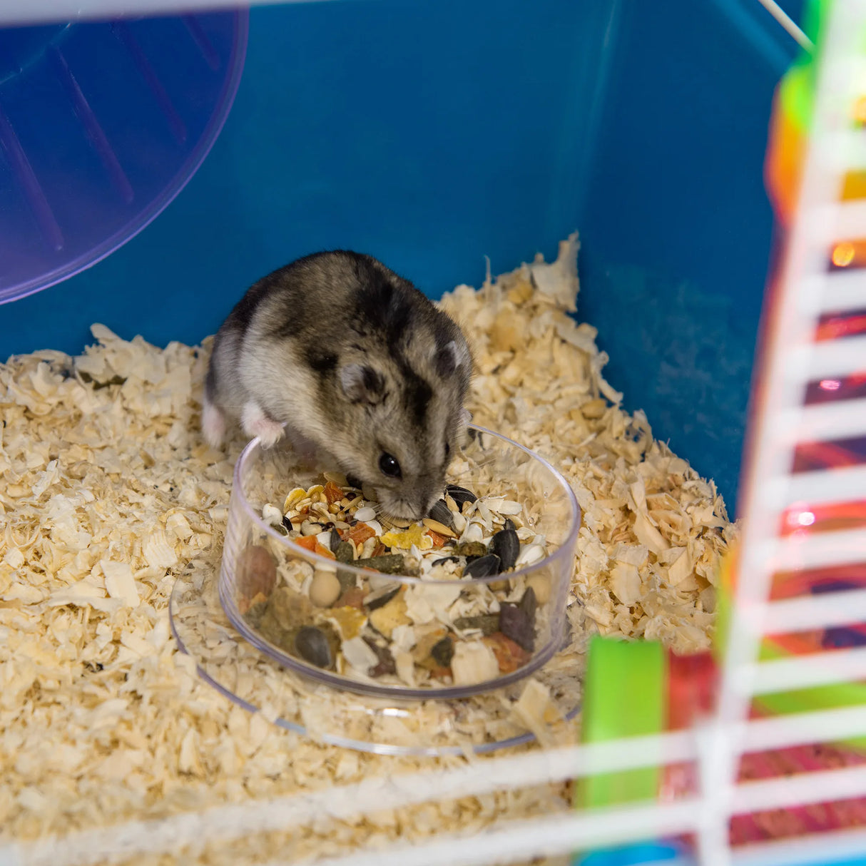 PawHut 5 Tier Hamster Cage, Gerbil Cage with Tube, Water Bottle, Exercise Wheel, Food Dish, 59L x 36W x 69H cm - Blue