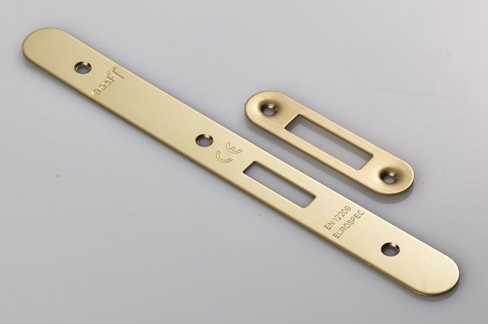 FOREND STRIKE & FIXINGS - DLS0060EP - RADIUS_x005F
- STAINLESS BRASS - PACK