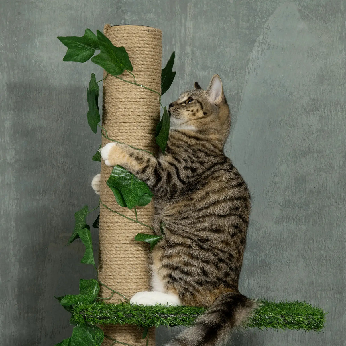 PawHut 242cm Adjustable Floor-To-Ceiling Cat Tree, with Artificial Decoration, Perches, Anti-Slip Kit - Green