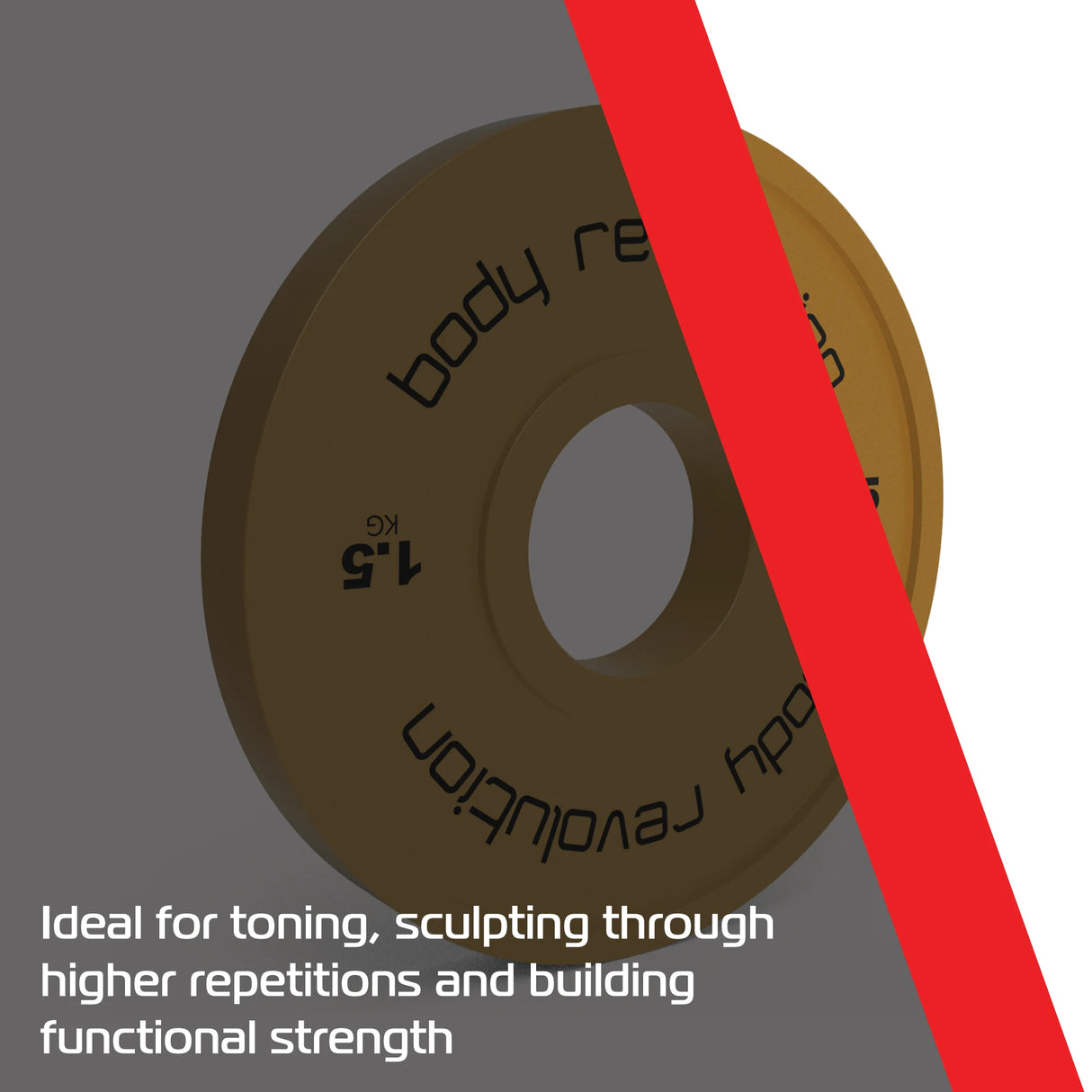 Fractional Bumper Plates 2 x 1.5kg