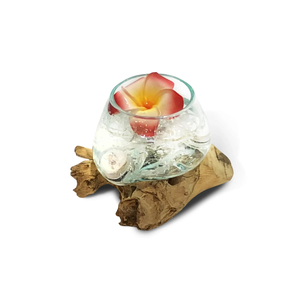 ROOT WITH GLASS BOWL MINI