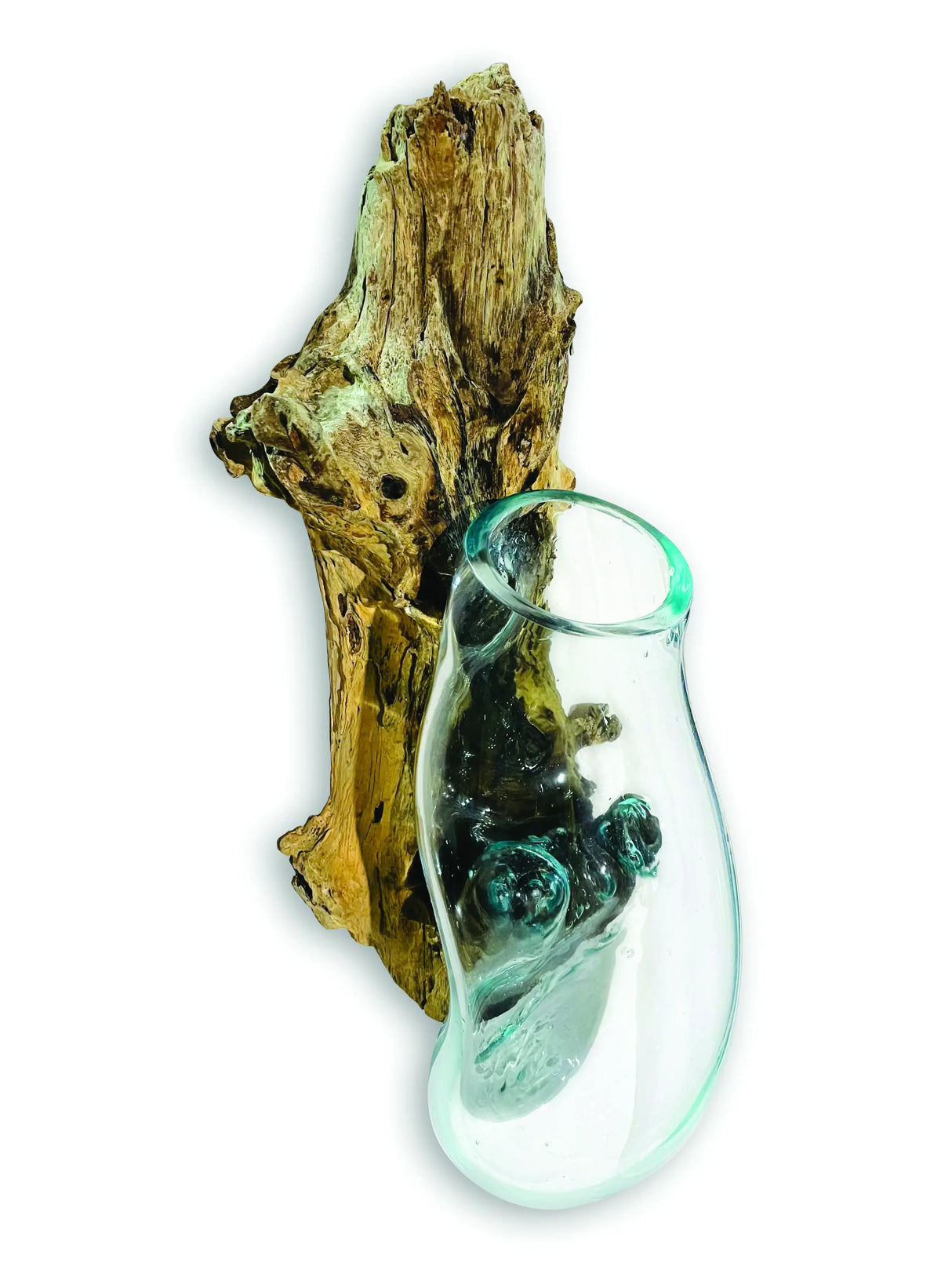ROOT WITH GLASS BOWL WALL HANGING