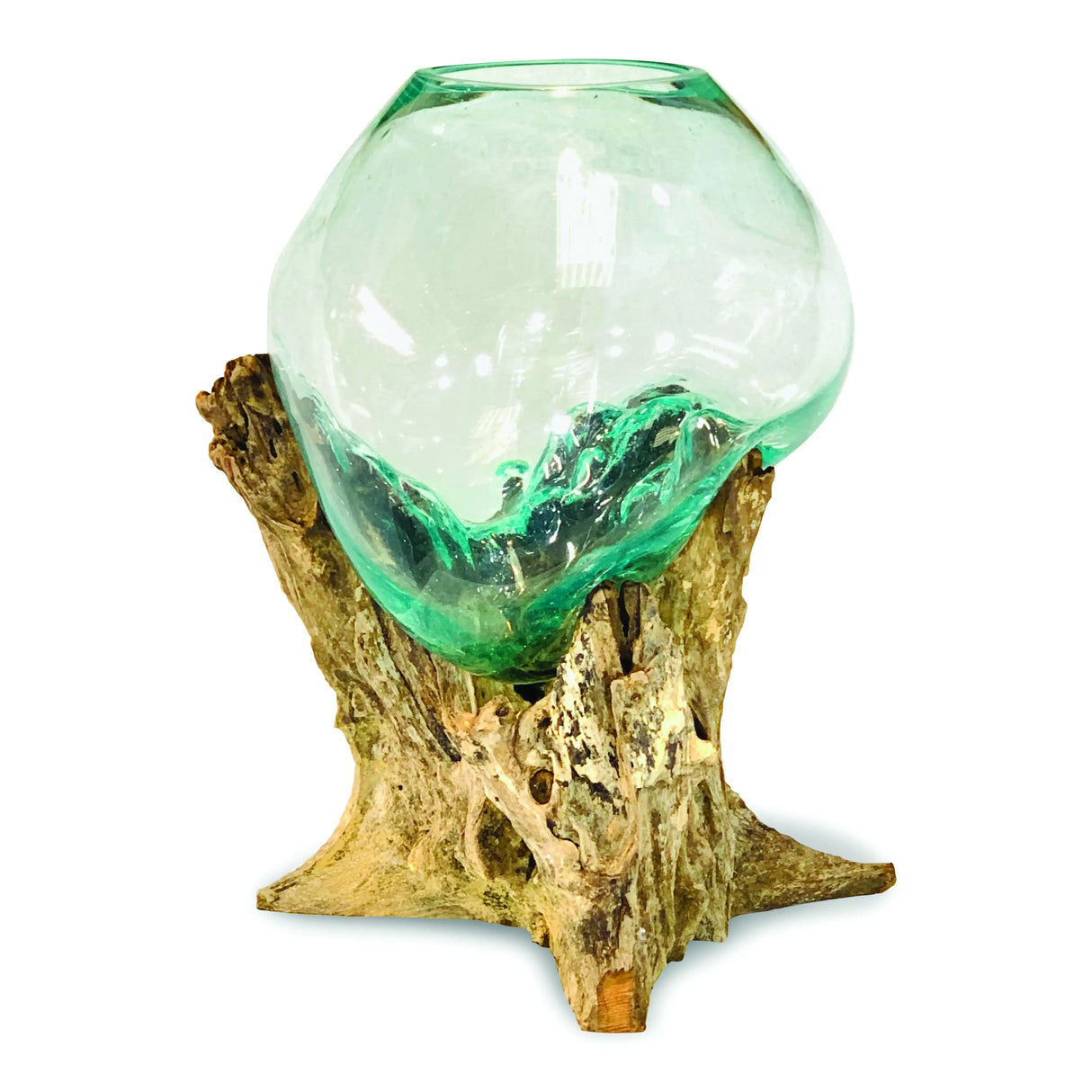 ROOT WITH GLASS SPHERE VIVARIUM