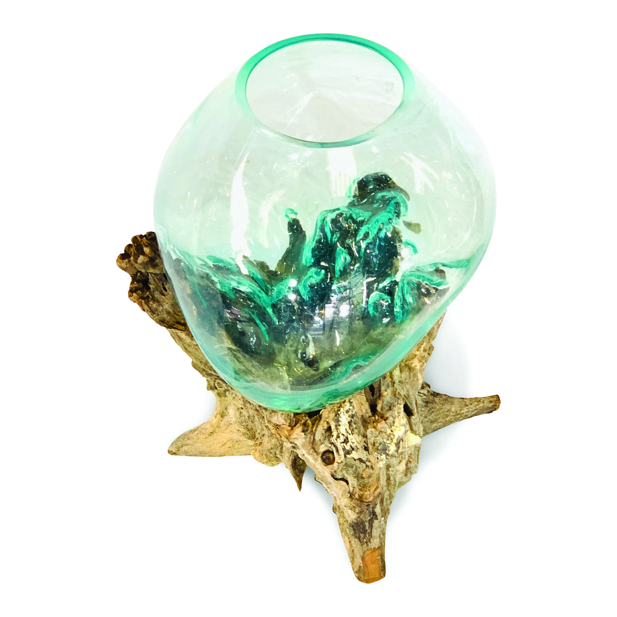 ROOT WITH GLASS SPHERE VIVARIUM