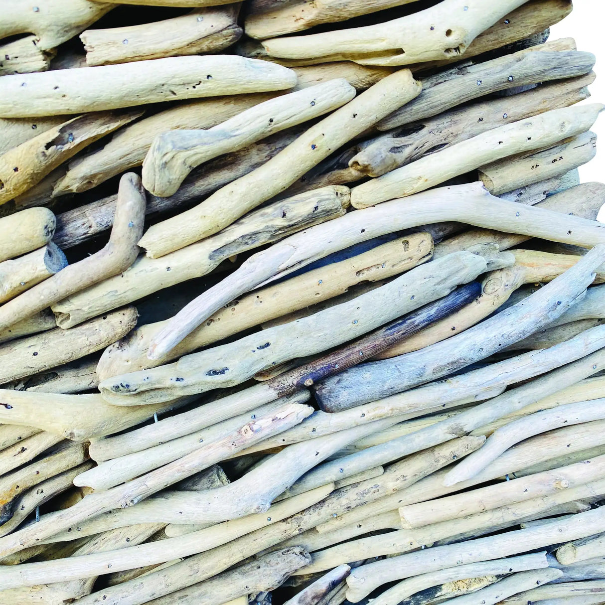 DRIFTWOOD SEA HORSE 140CM