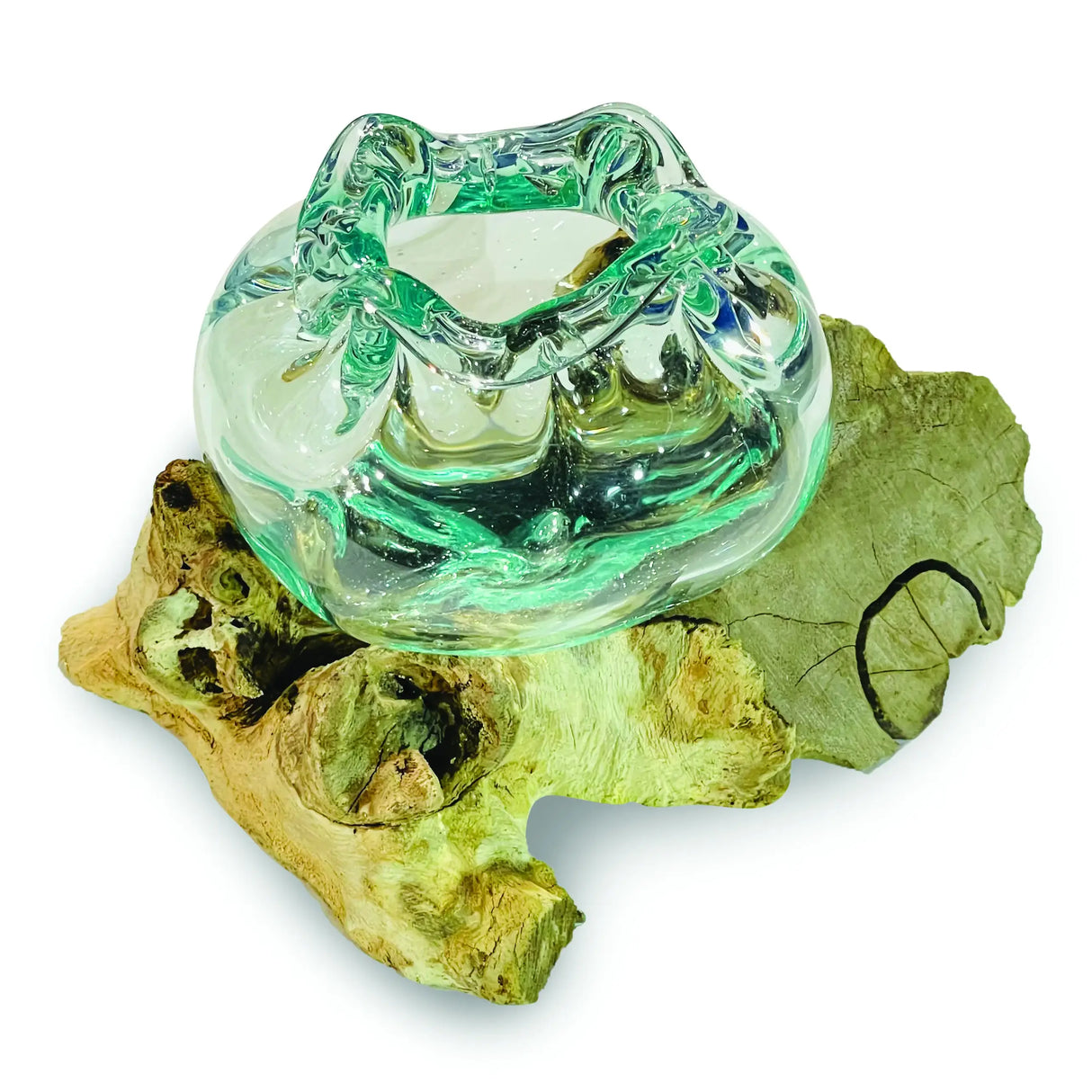 ROOT WITH MOLTEN CRINKLE GLASS BOWL SMALL