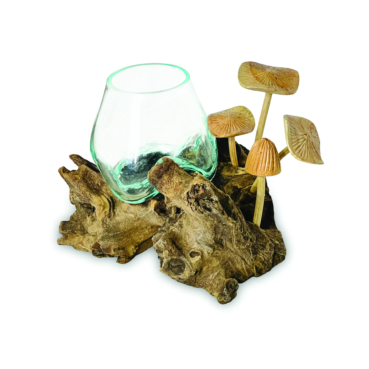 ROOT WITH MUSHROOMS AND GLASS BOWL SMALL