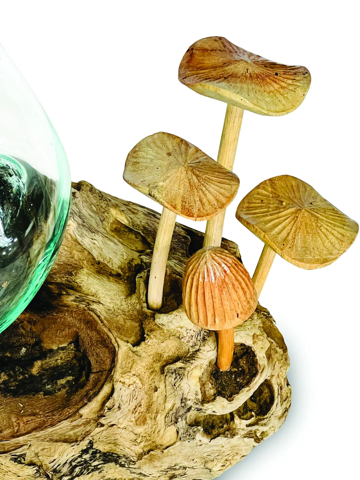 ROOT WITH MUSHROOMS AND GLASS BOWL SMALL