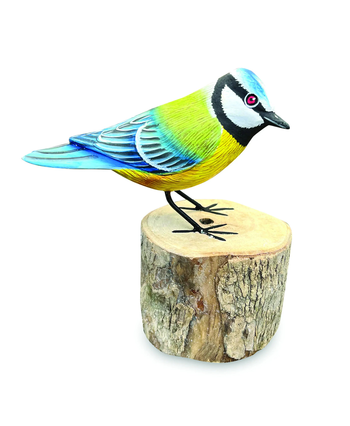 BLUE TIT