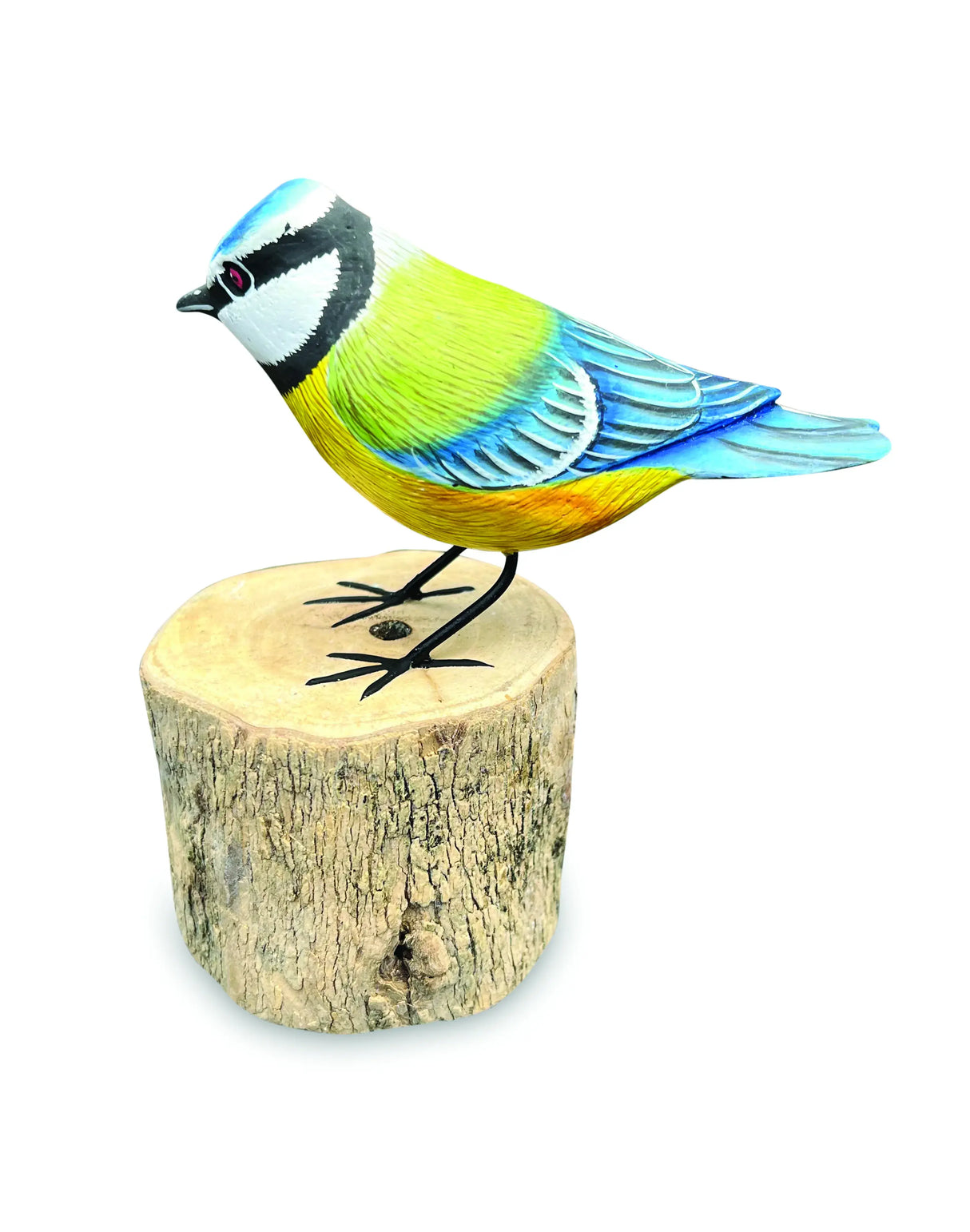 BLUE TIT