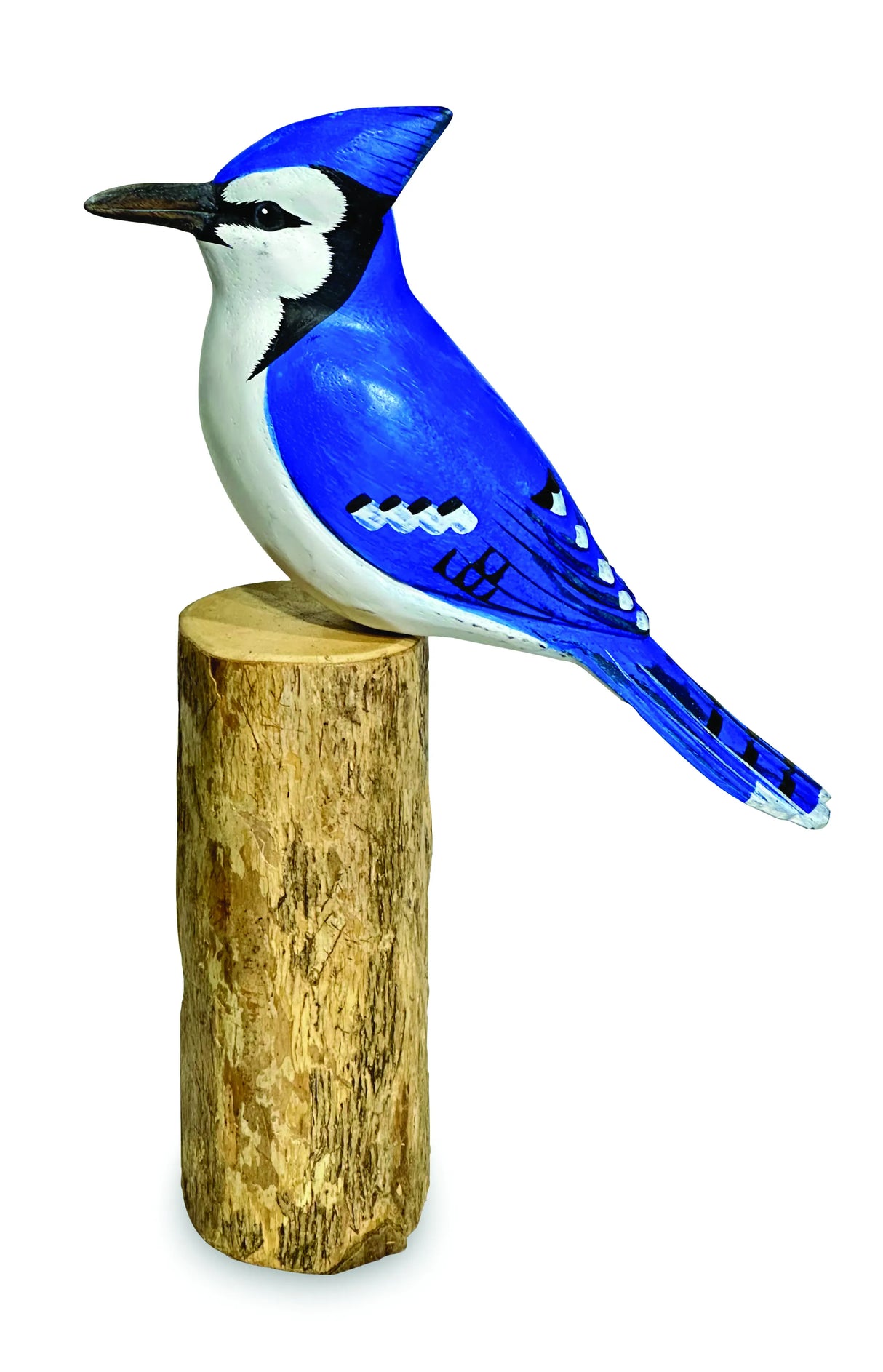 BLUE JAY
