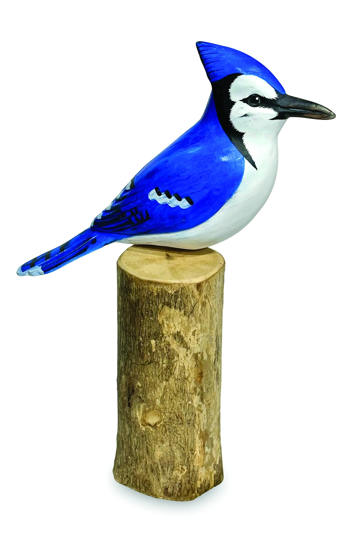 BLUE JAY