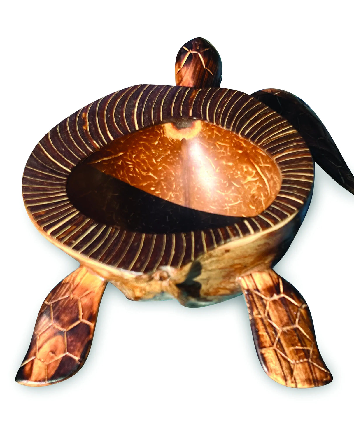 NATURAL COCONUT SHELL TURTLE BOWL