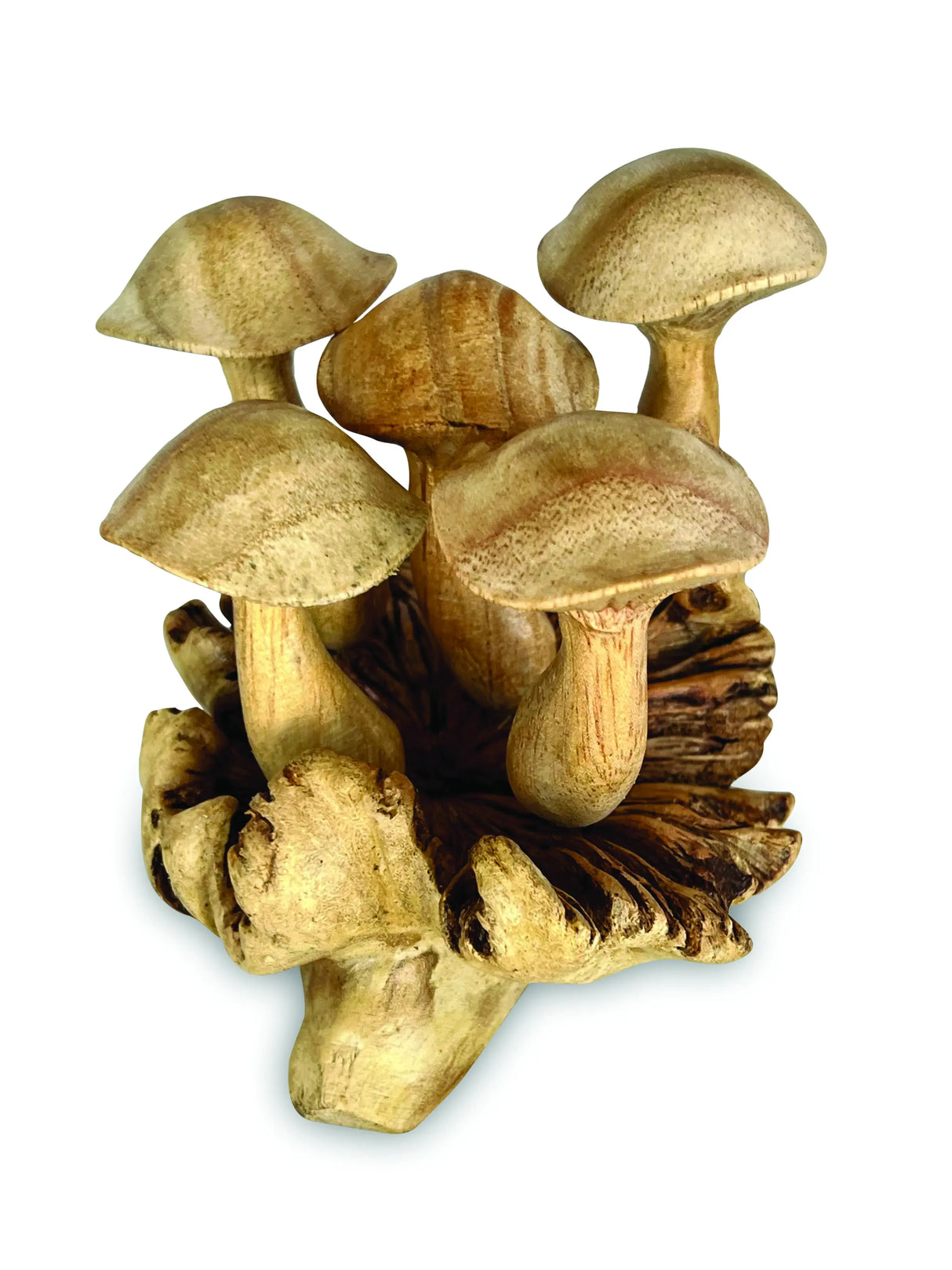 5 WAVEY CAP BALI MUSHROOMS