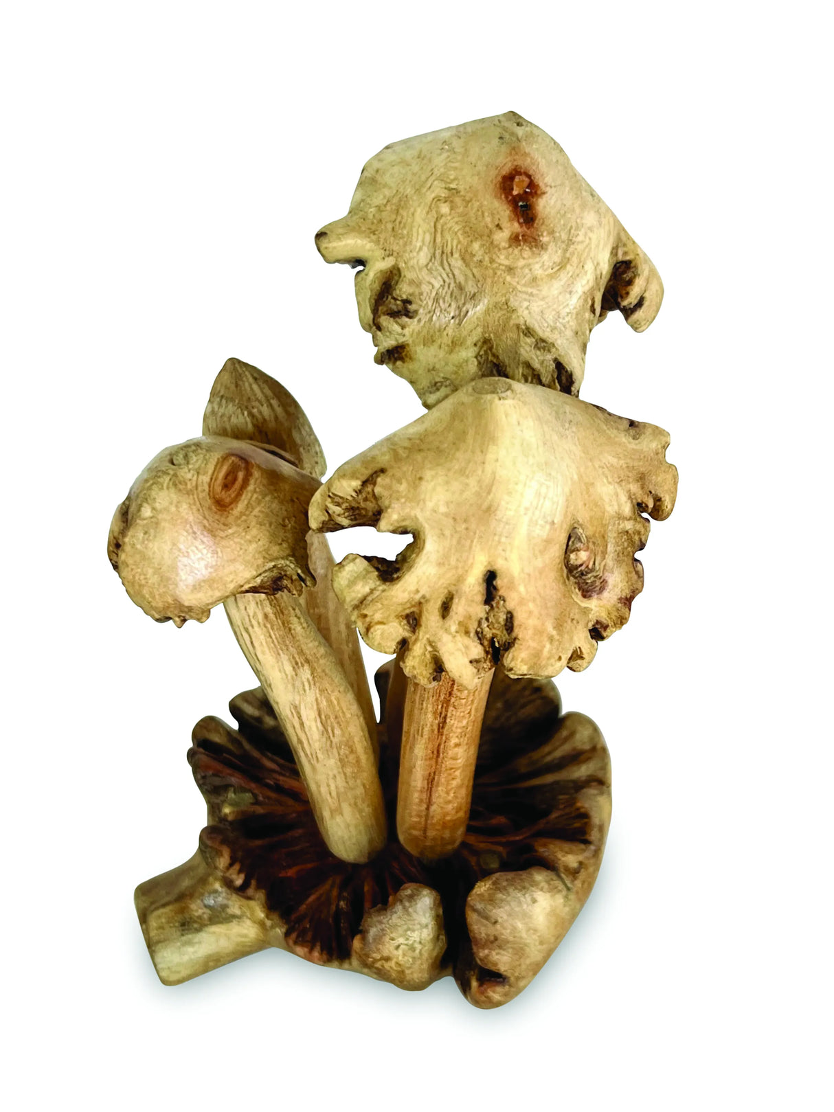 4 ERODED BALI MUSHROOMS