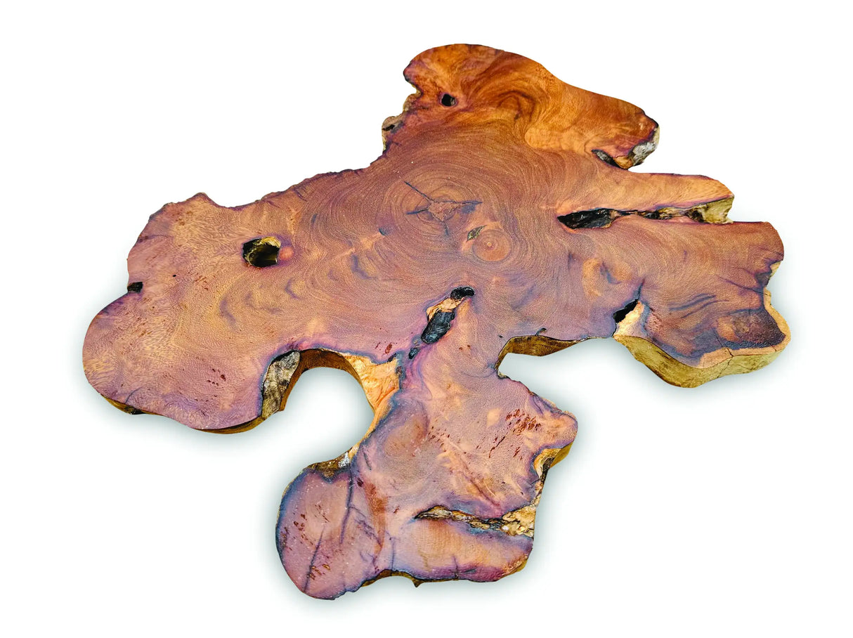 TREE ROOT SLICE PLACEMATS LARGE SIZE 30-35CM