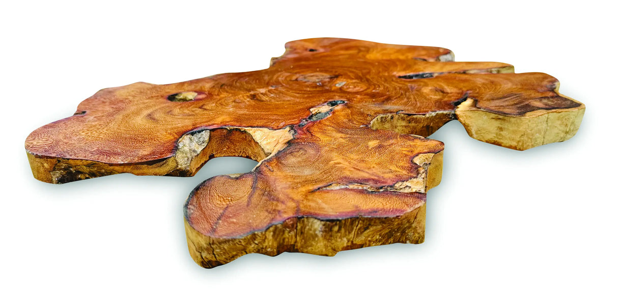 TREE ROOT SLICE PLACEMATS LARGE SIZE 30-35CM