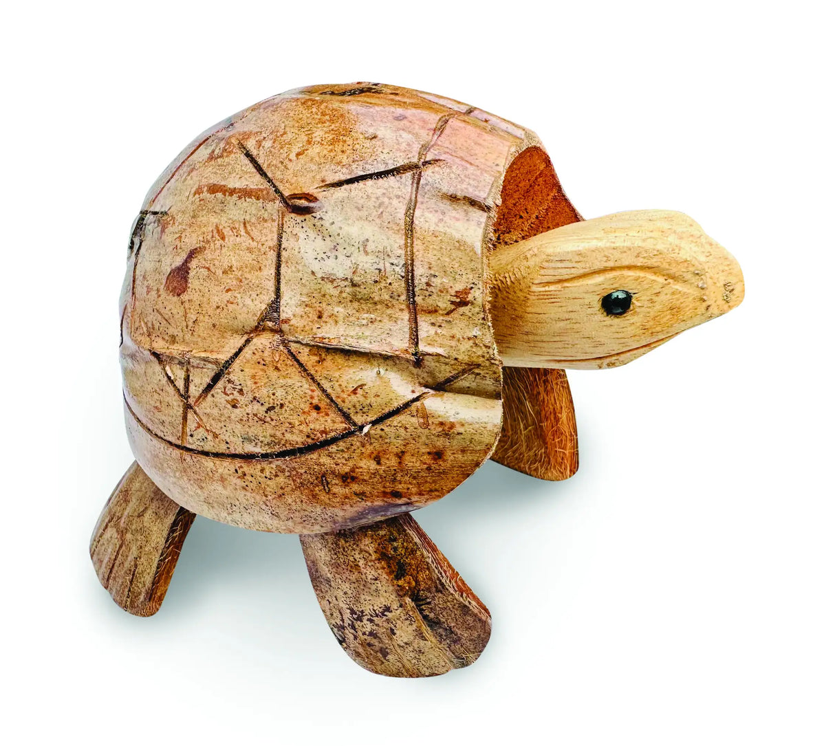 COCONUT SHELL NODDING TURTLE SMALL