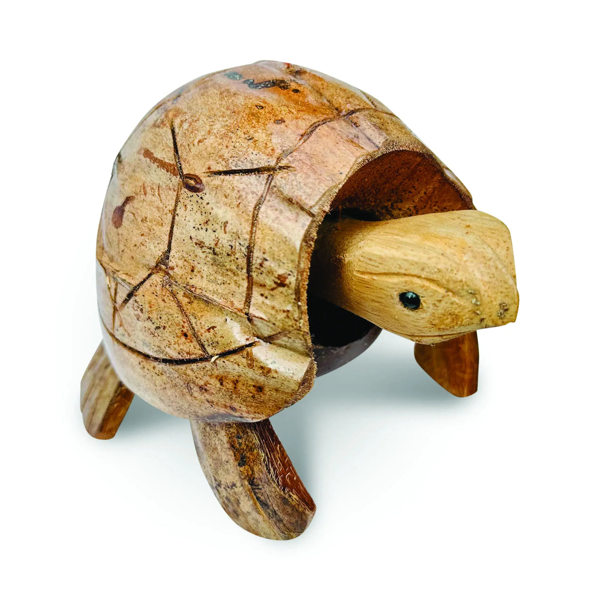 COCONUT SHELL NODDING TURTLE SMALL