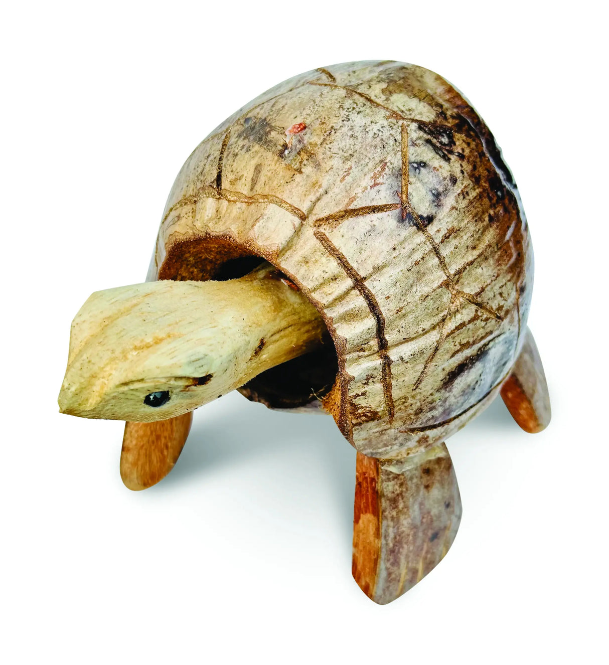 COCONUT SHELL NODDING TURTLE SMALL