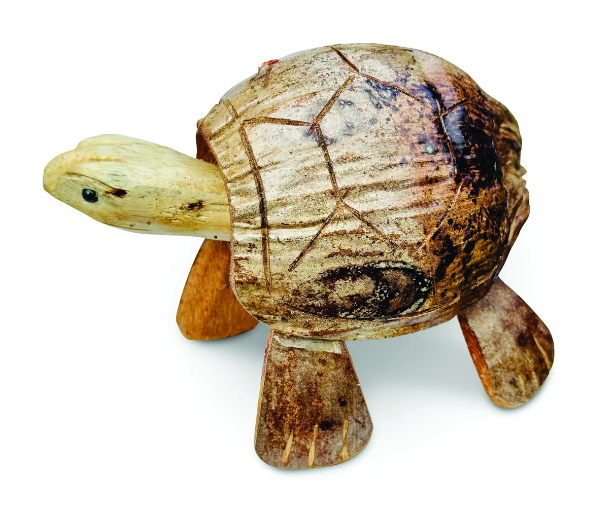 COCONUT SHELL NODDING TURTLE SMALL
