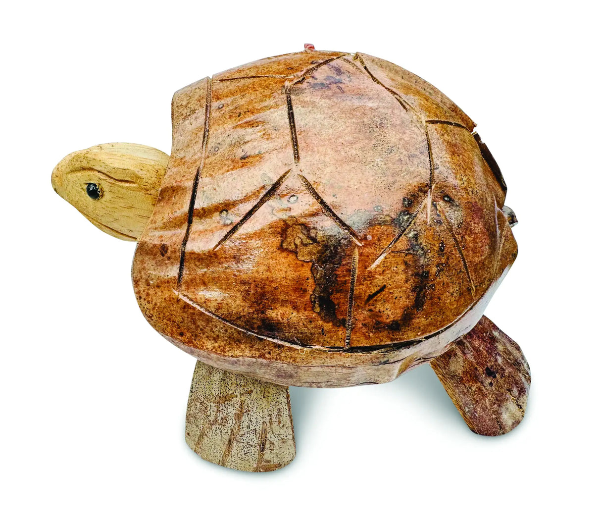 COCONUT SHELL NODDING TURTLE SMALL