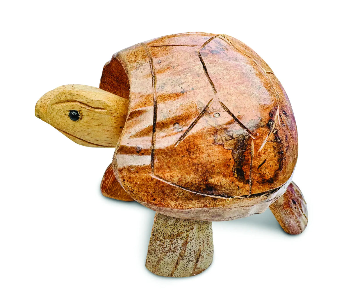 COCONUT SHELL NODDING TURTLE SMALL