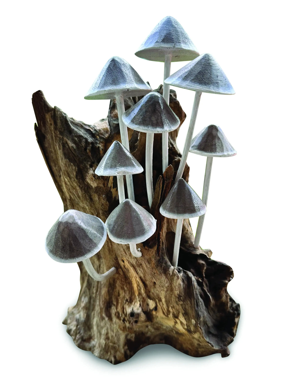 INK CAP MUSHROOM COLONY DRIFTWOOD SCULPTURE H 30CM