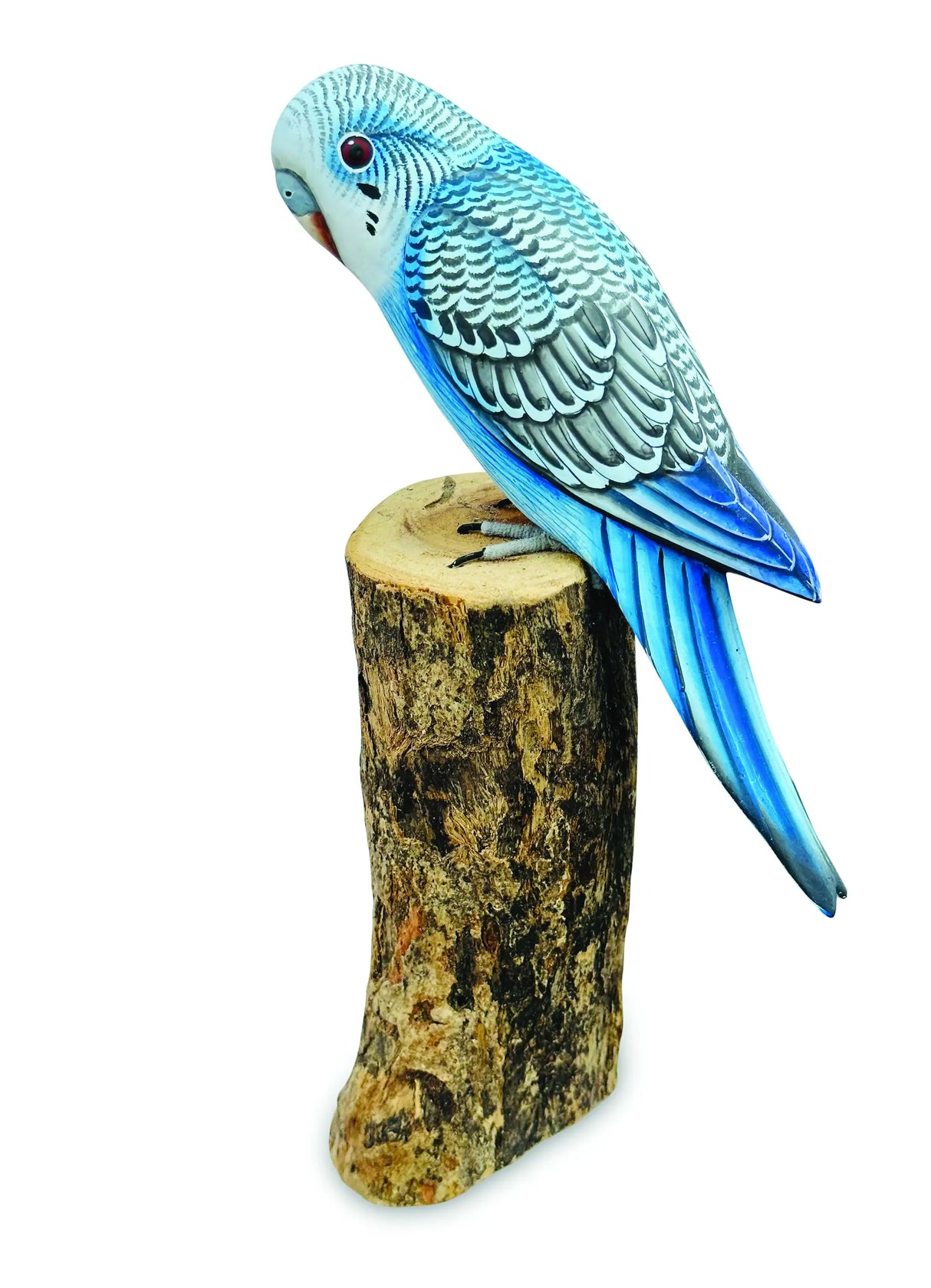 BLUE BUDGIE 20cm