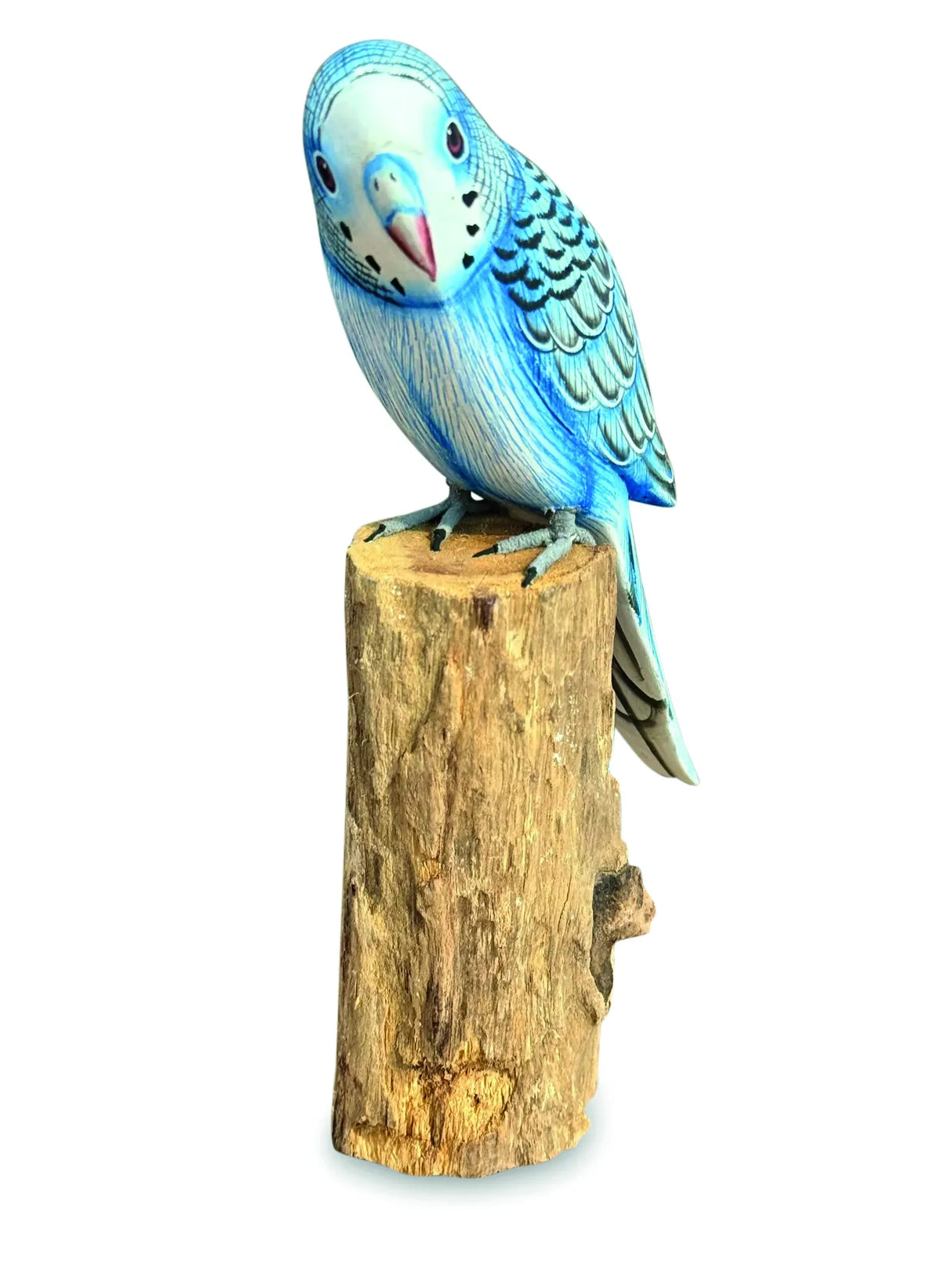 BLUE BUDGIE 20cm