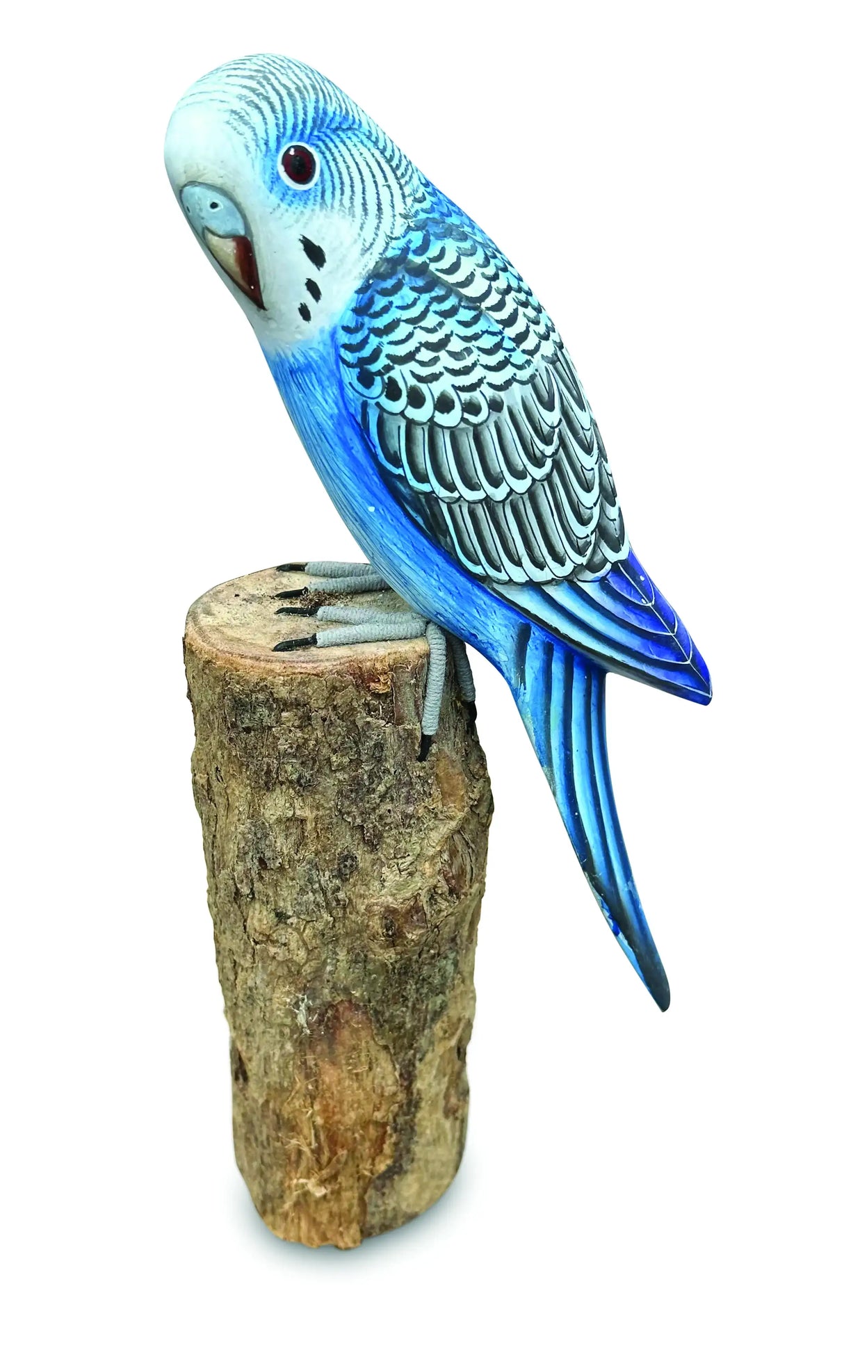 BLUE BUDGIE 20cm