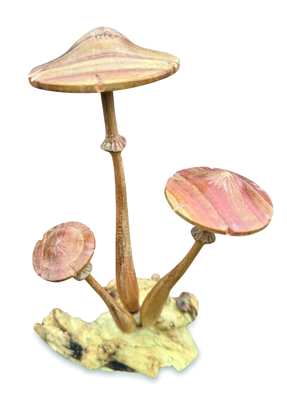 HONEYCUP MUSHROOM SCULPTURE 20cm.
