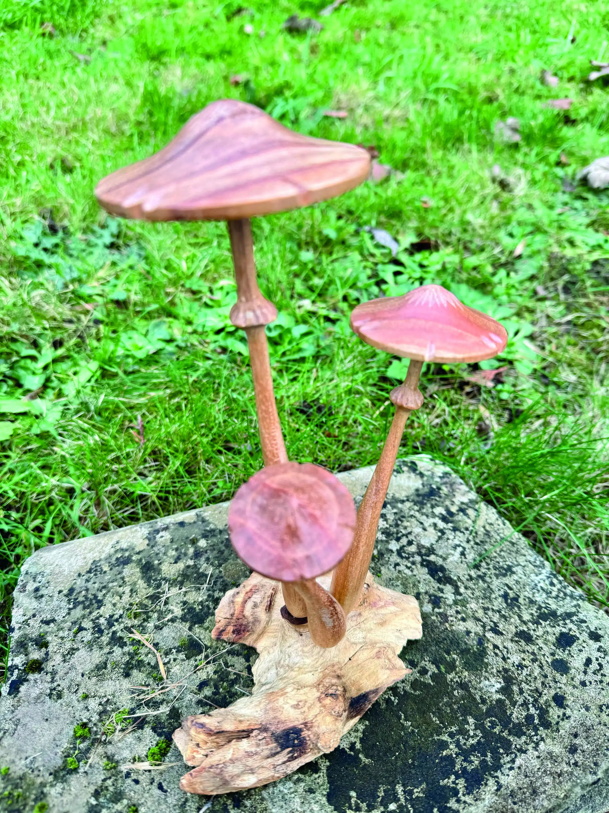 HONEYCUP MUSHROOM SCULPTURE 20cm.