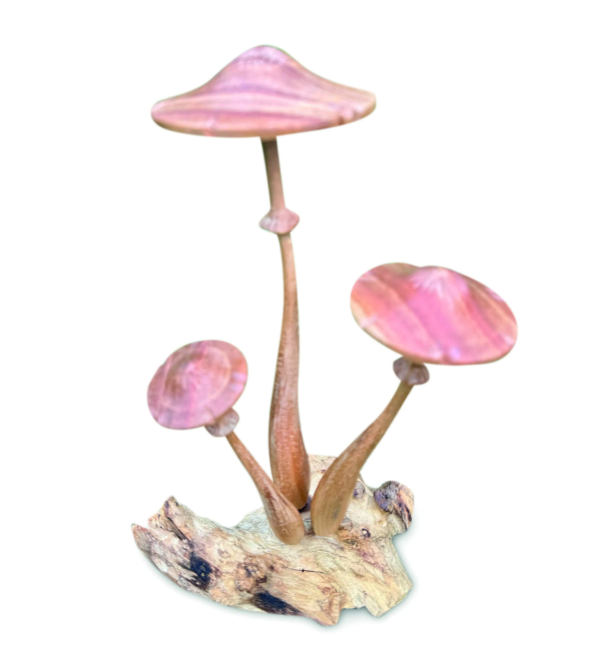 HONEYCUP MUSHROOM SCULPTURE 20cm.