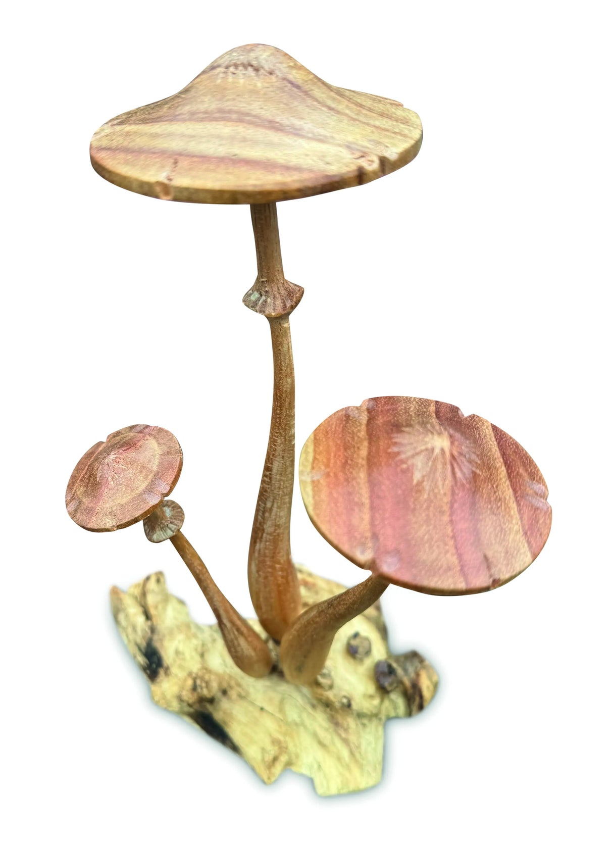HONEYCUP MUSHROOM SCULPTURE 20cm.