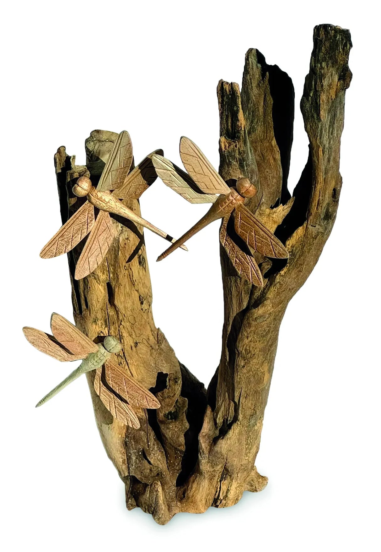 3 DRAGONFLY ON DRIFTWOOD