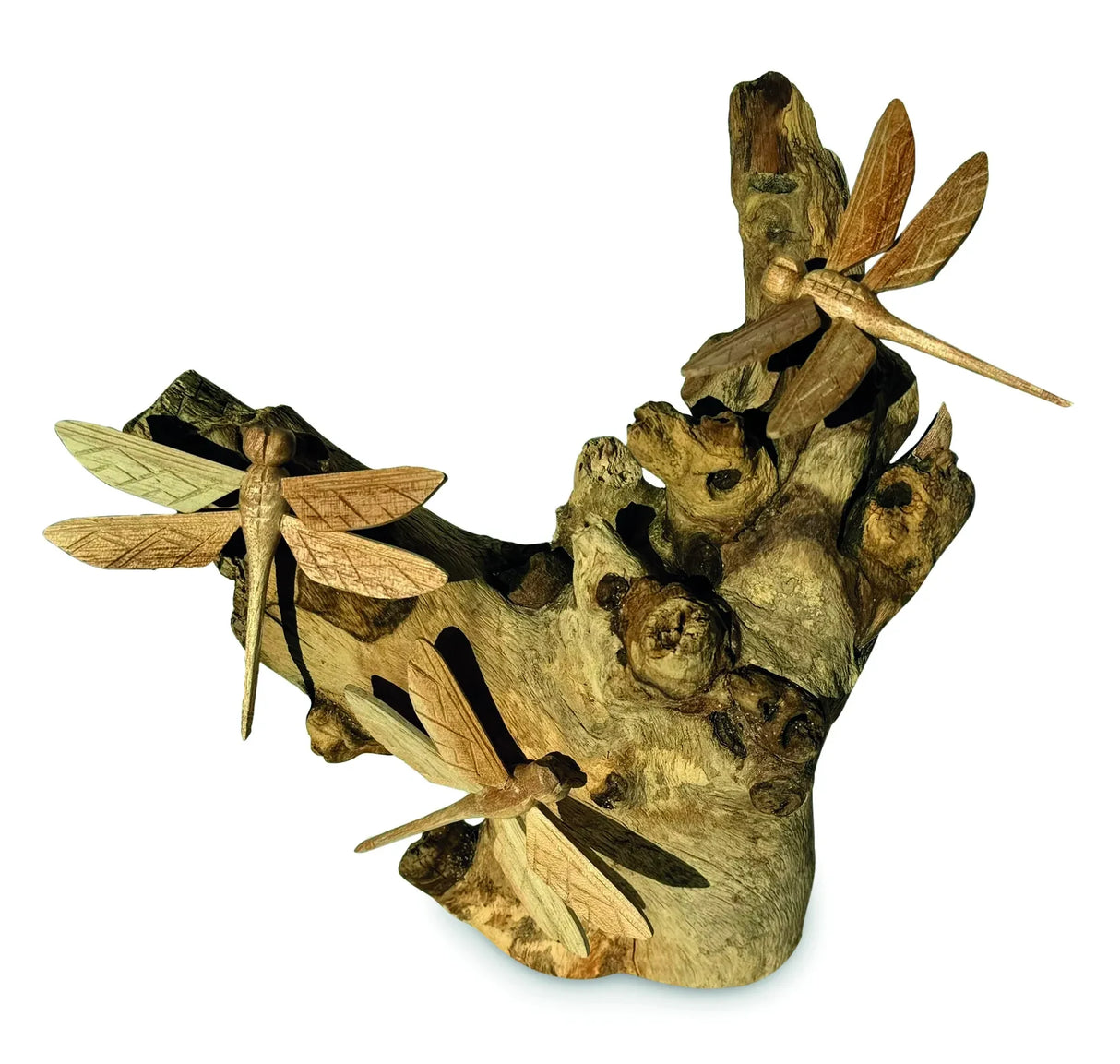 3 DRAGONFLY ON DRIFTWOOD