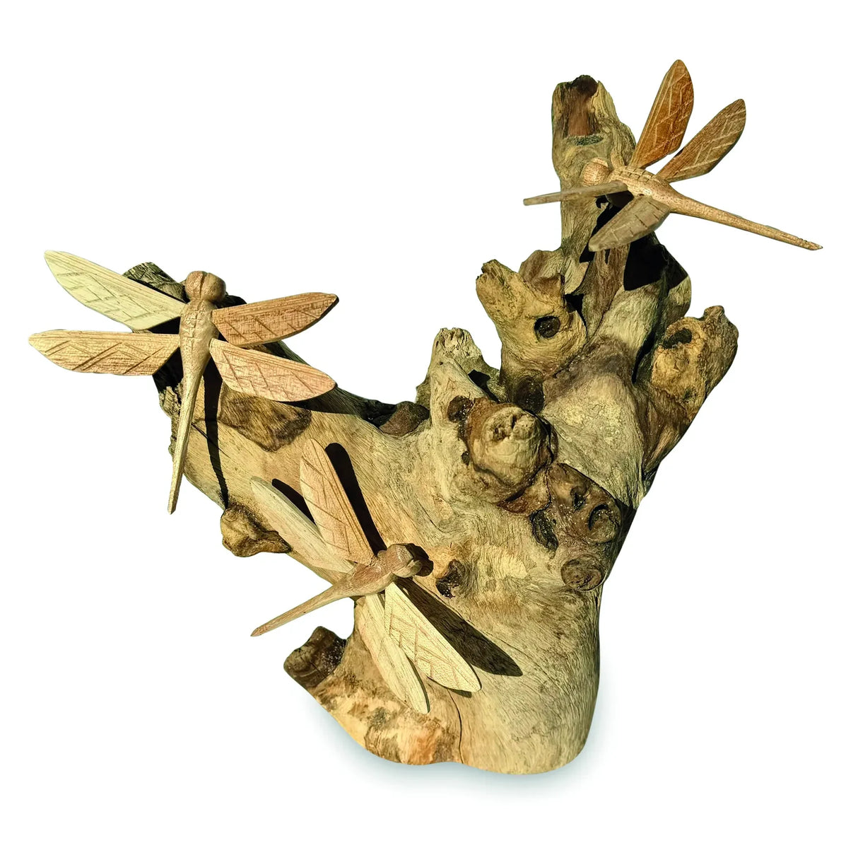 3 DRAGONFLY ON DRIFTWOOD