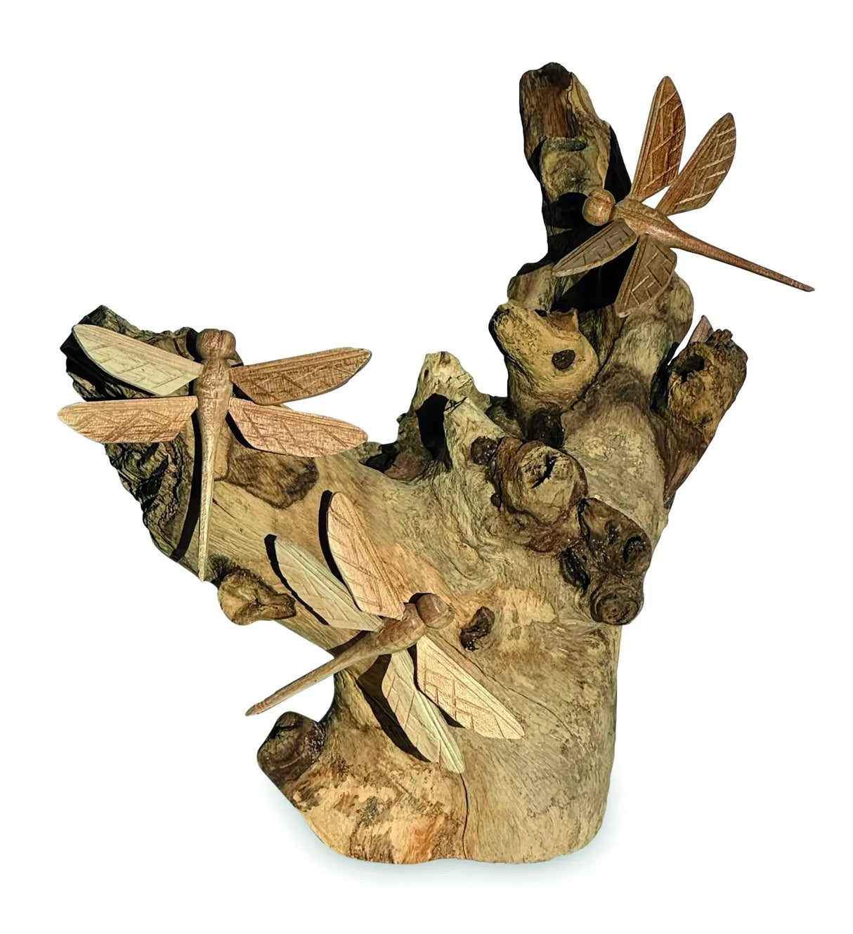 3 DRAGONFLY ON DRIFTWOOD