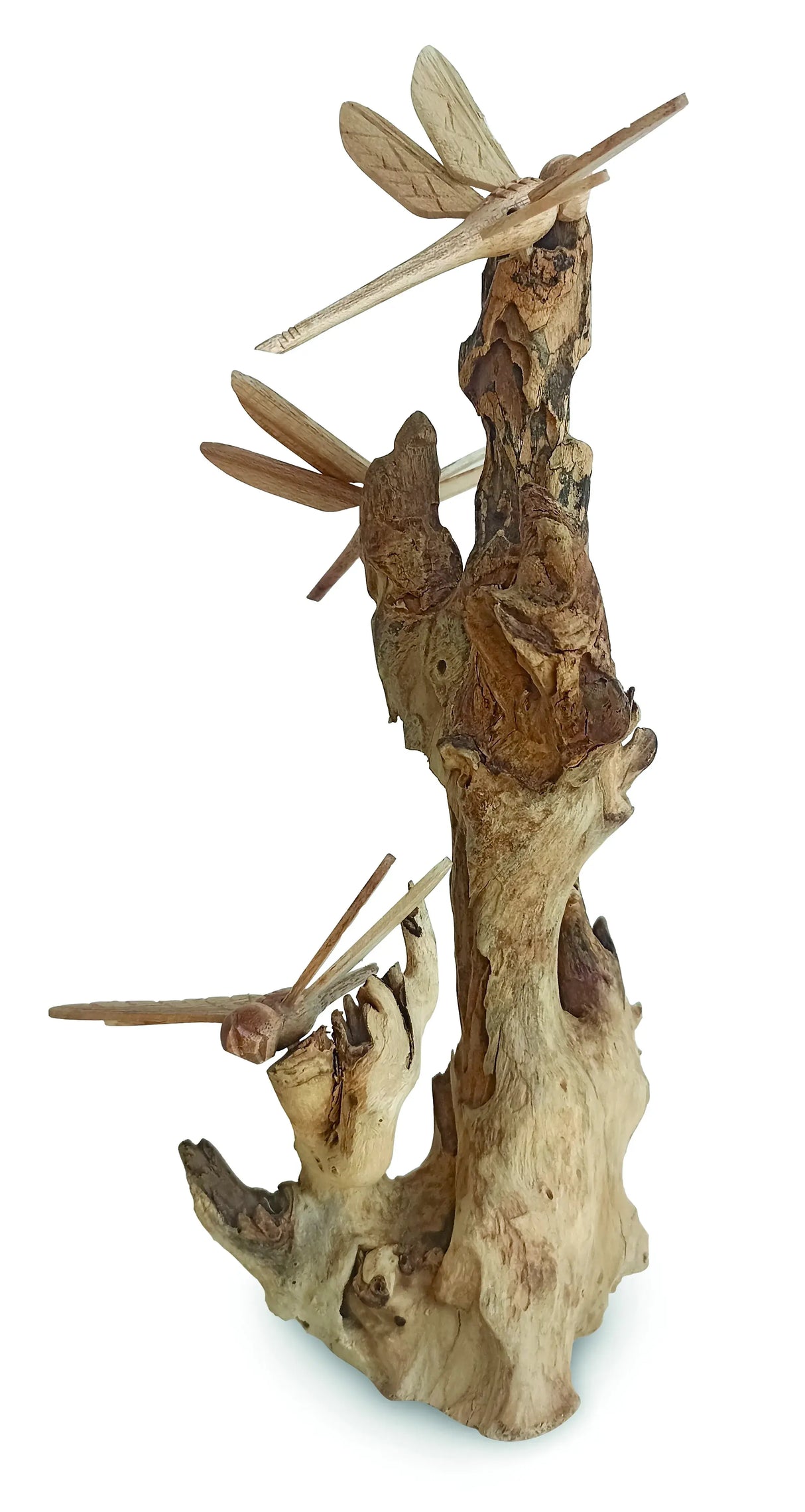 3 DRAGONFLY ON DRIFTWOOD