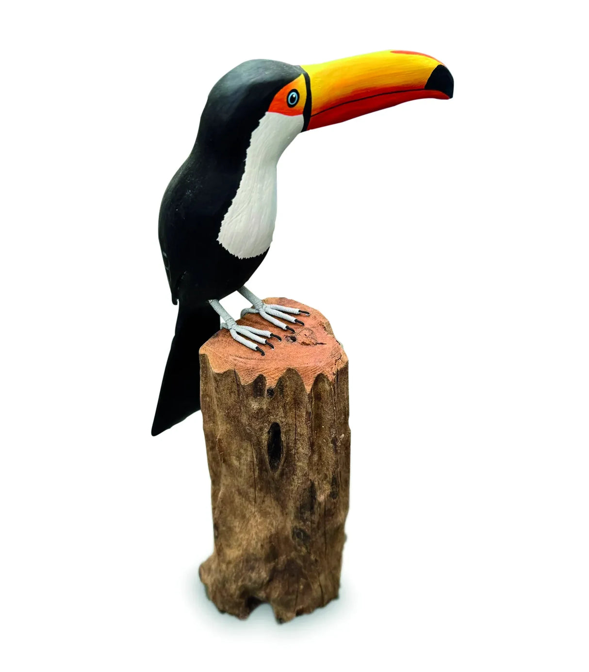 TOUCAN