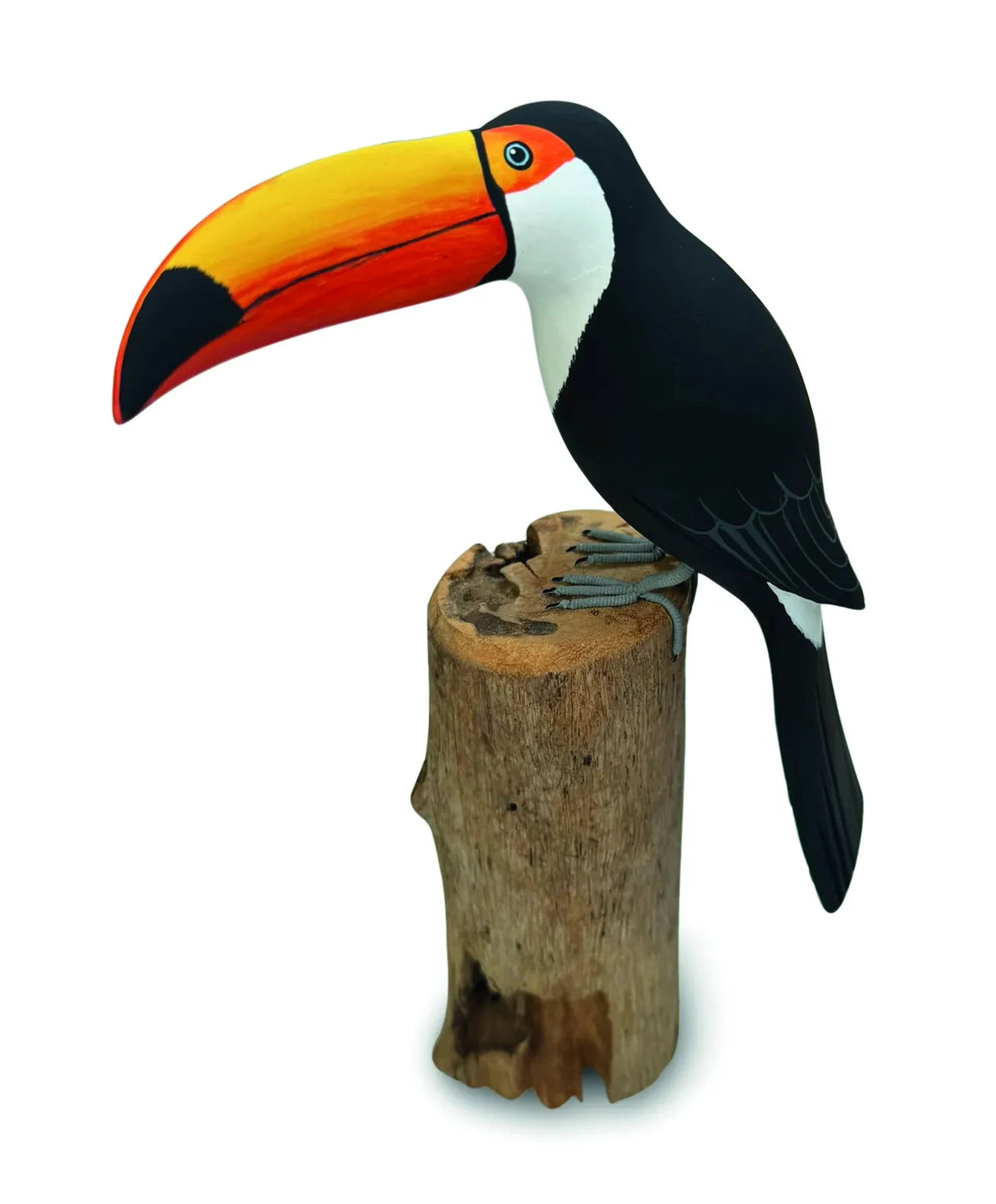 TOUCAN