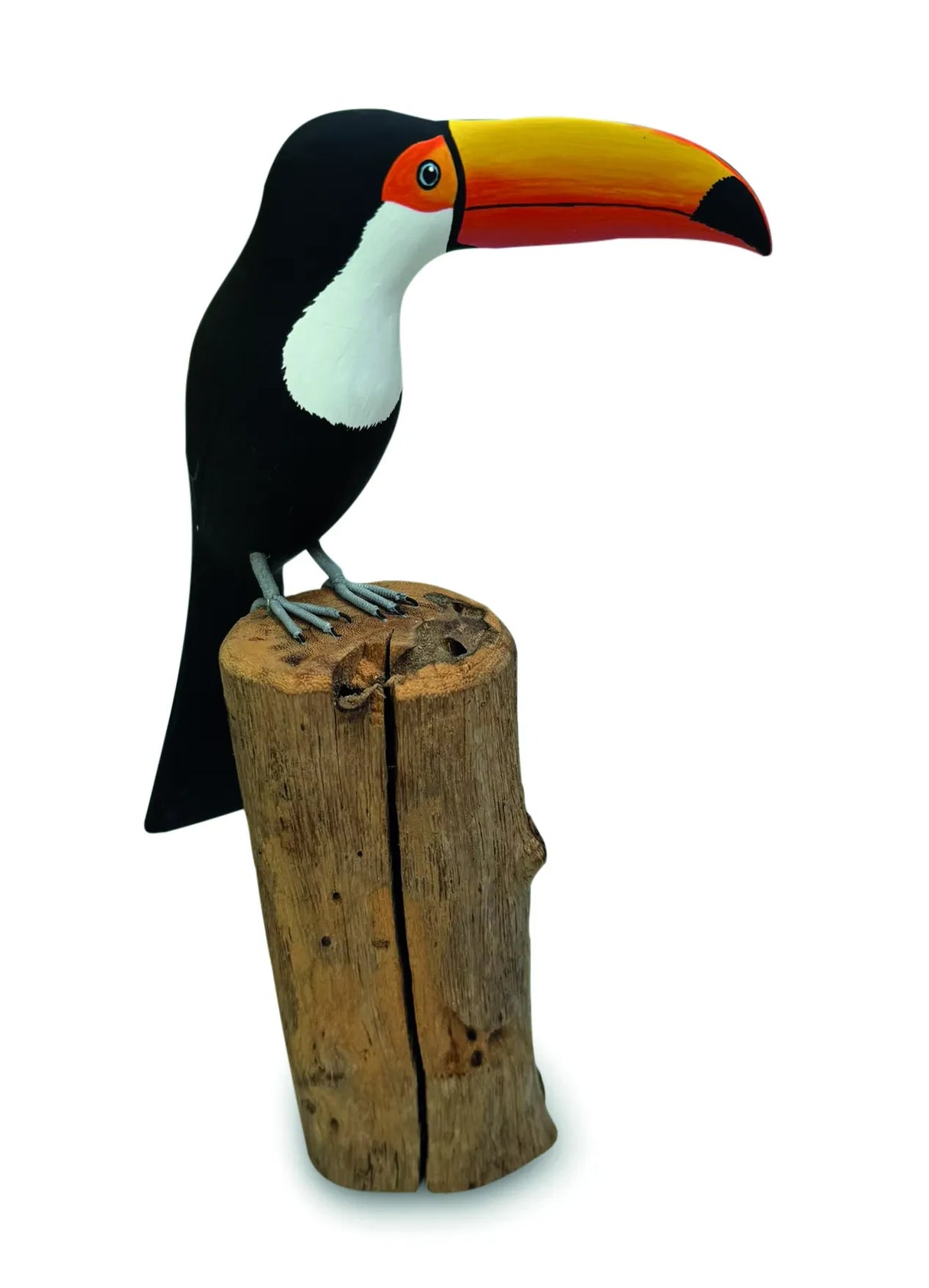 TOUCAN