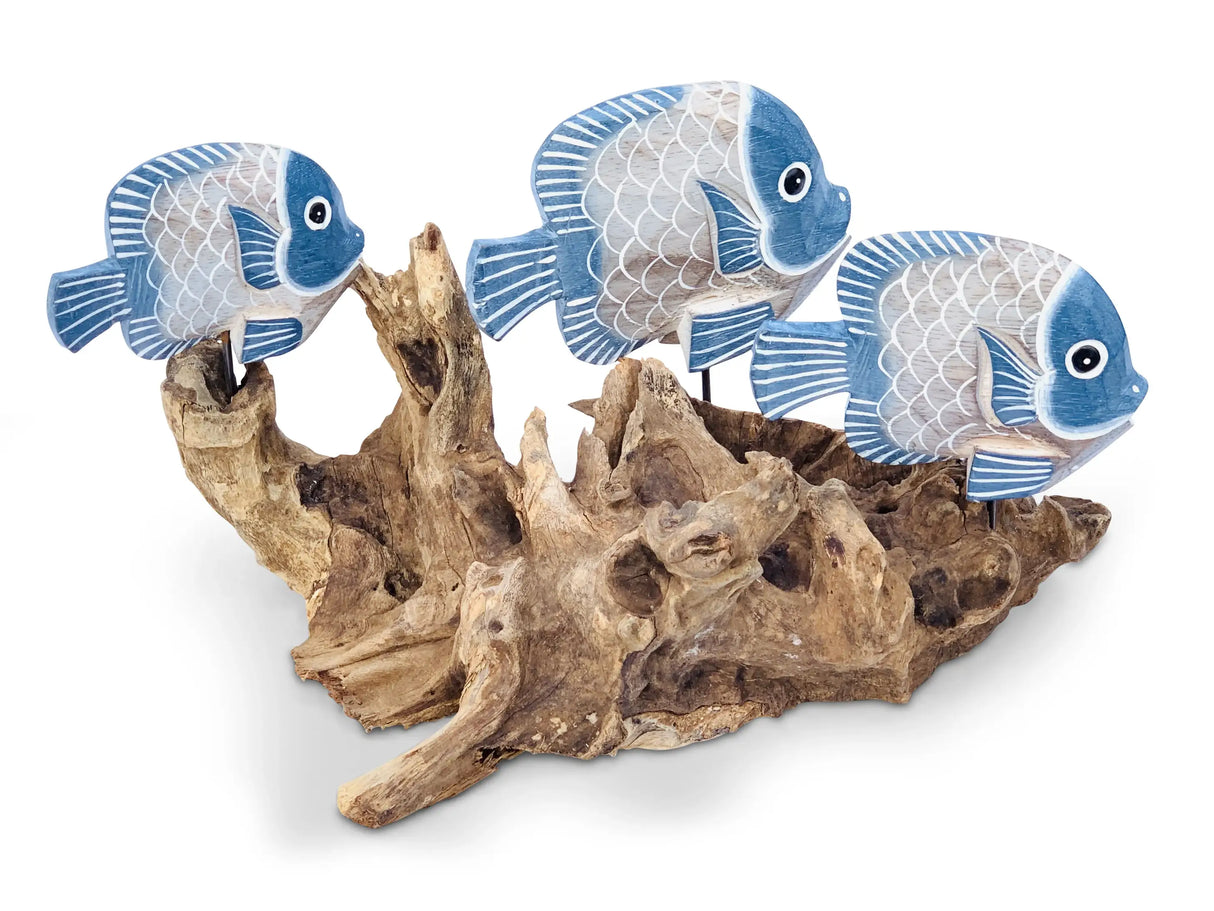 3 FISH GROUP ON CORAL