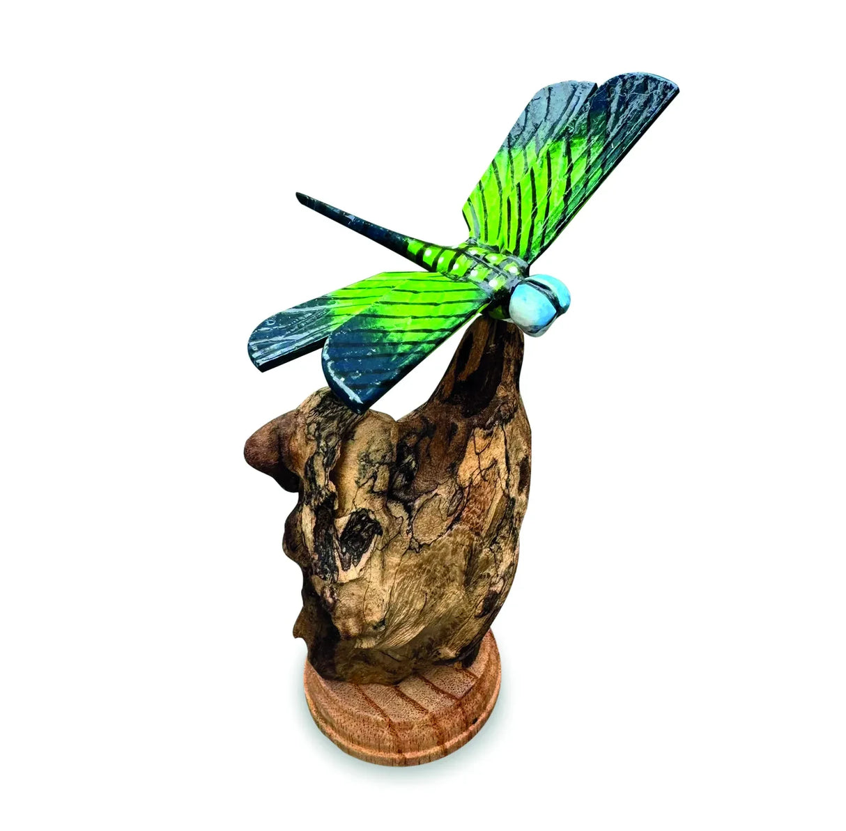 SINGLE EMPEROR DRAGONFLY ON DRIFTWOOD 14cm H